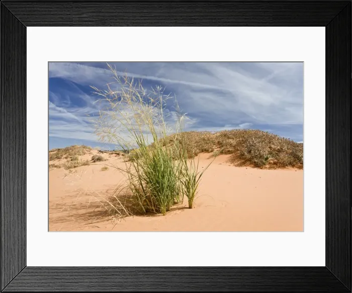 Framed Print : Picture No. 10899428
