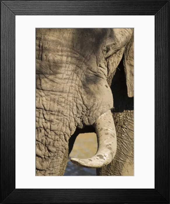 Framed Print : Picture No. 10900844 Framed Print : Picture No. 10900844