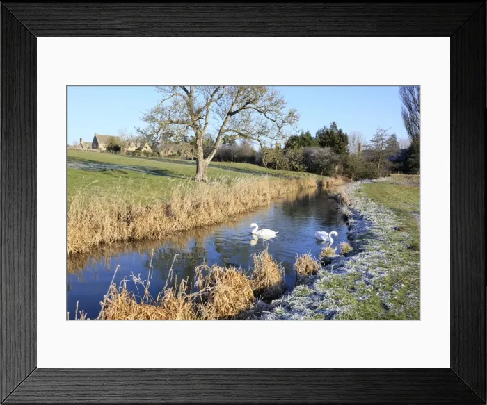 Framed Print : Picture No. 10900517 Framed Print : Picture No. 10900517