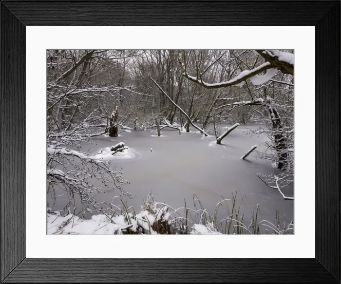 Framed Print : Picture No. 10900276 Framed Print : Picture No. 10900276