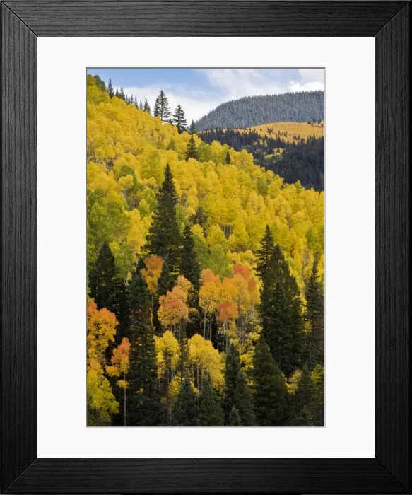 Framed Print : Picture No. 10899448 Framed Print : Picture No. 10899448