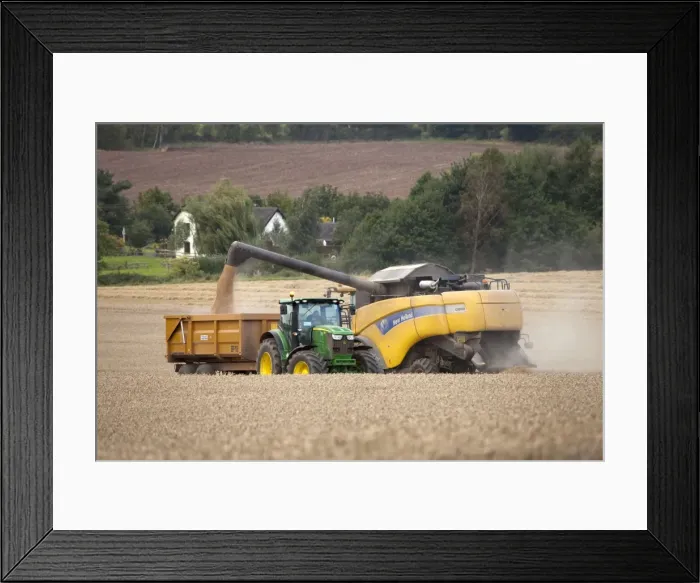 Framed Print : Picture No. 10900332 Framed Print : Picture No. 10900332