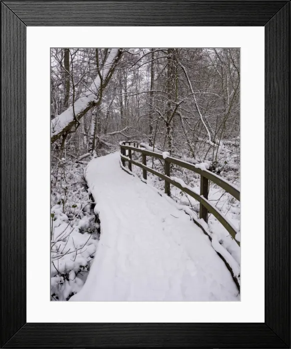 Framed Print : Picture No. 10900279 Framed Print : Picture No. 10900279