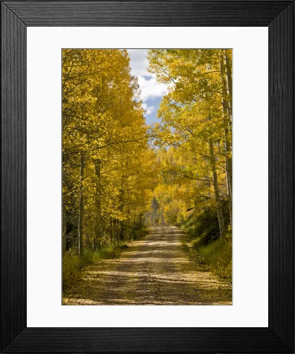 Framed Print : Picture No. 10899447 Framed Print : Picture No. 10899447