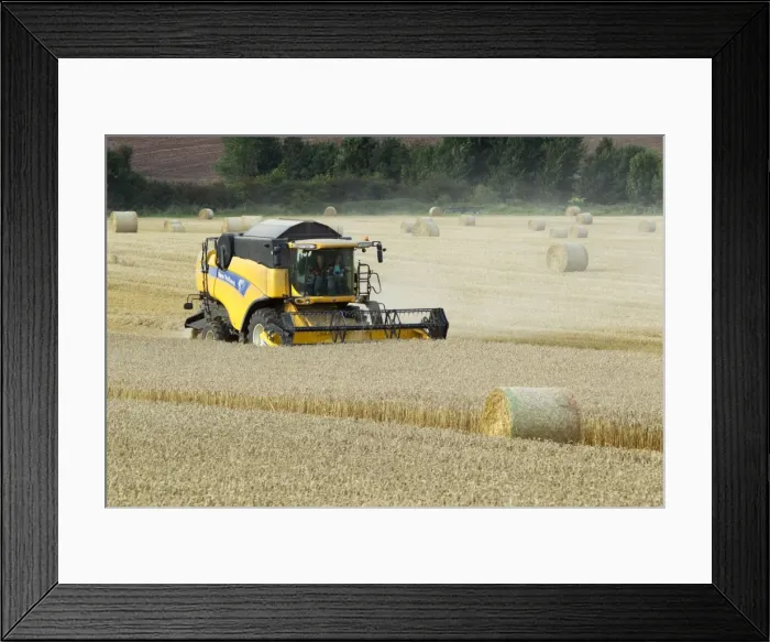 Framed Print : Picture No. 10900333 Framed Print : Picture No. 10900333