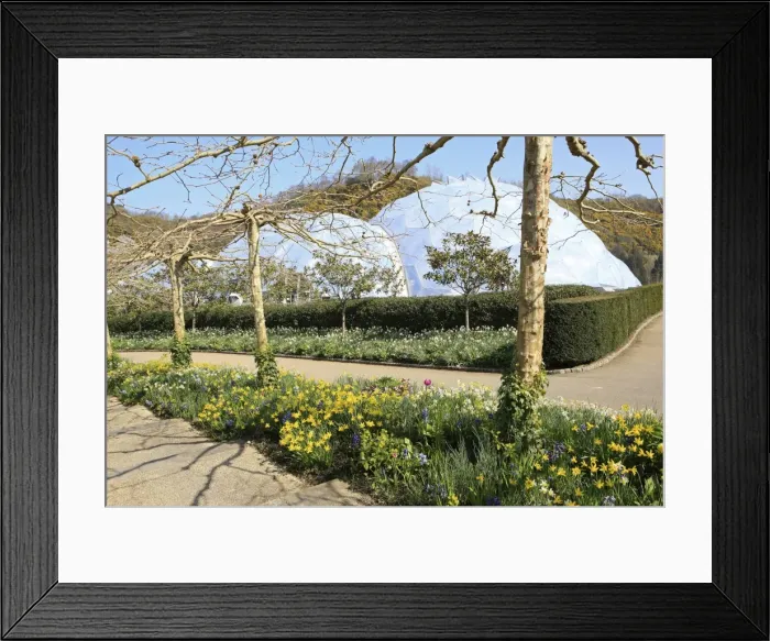 Framed Print : Picture No. 10900496 Framed Print : Picture No. 10900496