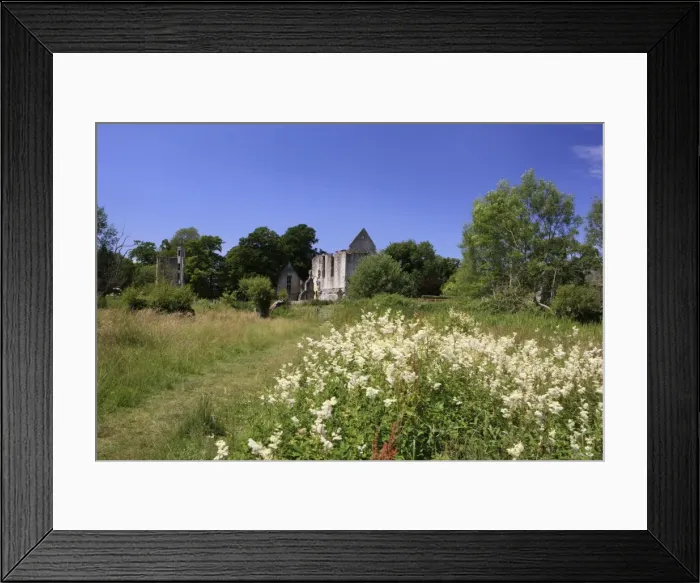 Framed Print : Picture No. 10900512 Framed Print : Picture No. 10900512