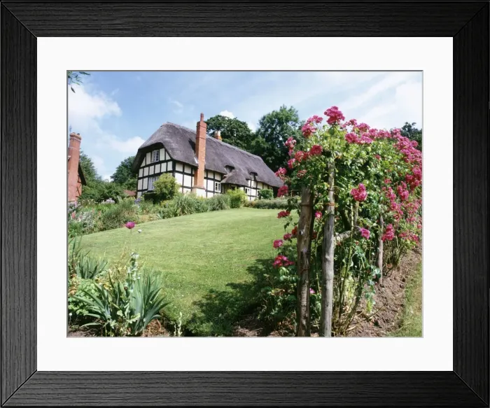 Framed Print : Picture No. 10900500 Framed Print : Picture No. 10900500