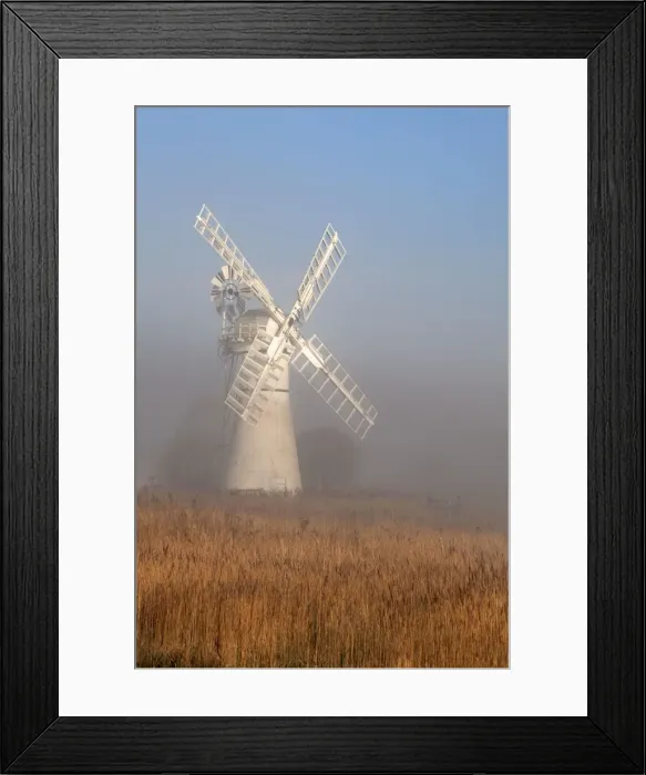 Framed Print : Picture No. 10900351