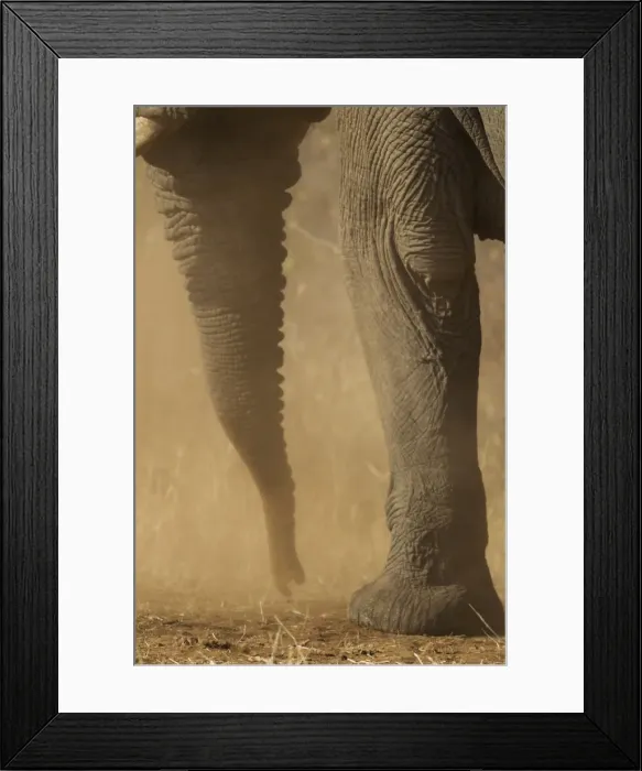 Framed Print : Picture No. 10900842 Framed Print : Picture No. 10900842