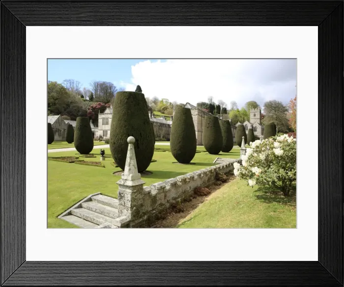 Framed Print : Picture No. 10900532 Framed Print : Picture No. 10900532