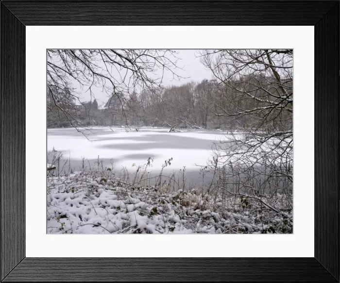 Framed Print : Picture No. 10900274 Framed Print : Picture No. 10900274