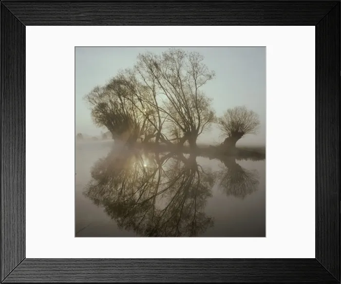 Framed Print : Picture No. 10900456 Framed Print : Picture No. 10900456