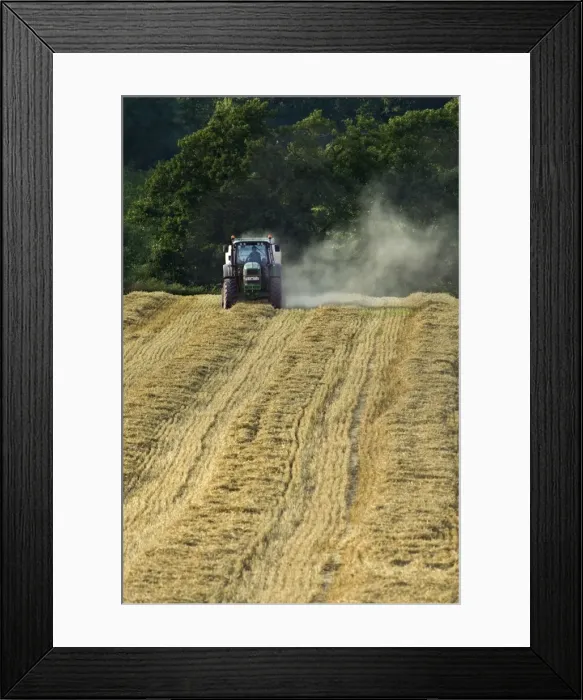 Framed Print : Picture No. 10900354 Framed Print : Picture No. 10900354