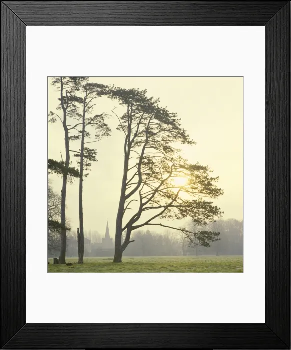 Framed Print : Picture No. 10900447 Framed Print : Picture No. 10900447