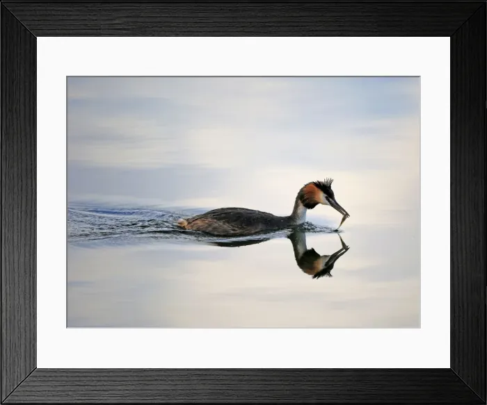 Framed Print : Picture No. 10900264 Framed Print : Picture No. 10900264