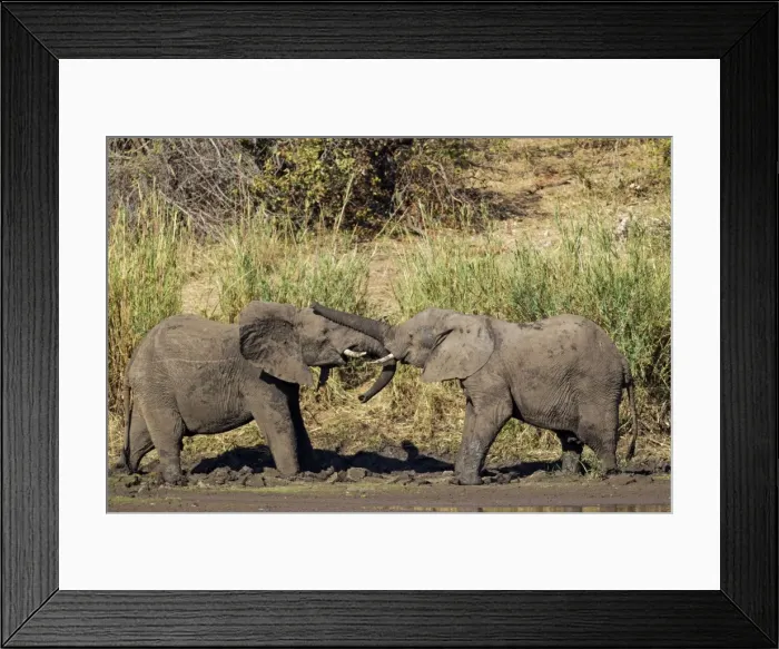 Framed Print : Picture No. 10900837 Framed Print : Picture No. 10900837