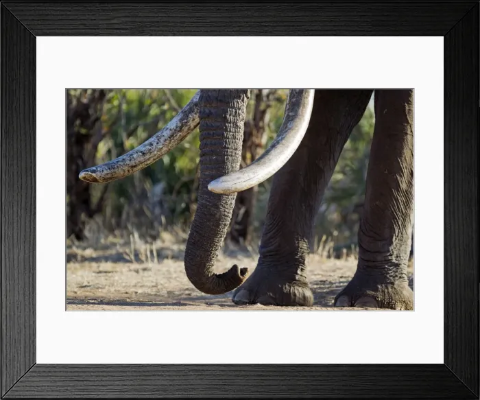 Framed Print : Picture No. 10900840 Framed Print : Picture No. 10900840