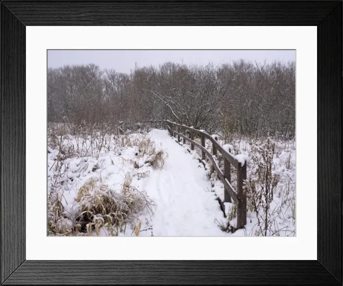 Framed Print : Picture No. 10900280 Framed Print : Picture No. 10900280