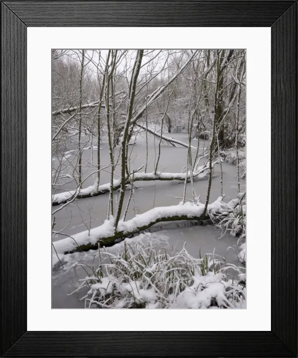 Framed Print : Picture No. 10900278 Framed Print : Picture No. 10900278