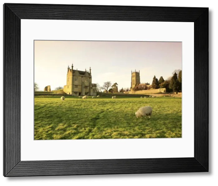 Framed Print : Picture No. 10900515