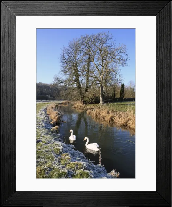 Framed Print : Picture No. 10900518 Framed Print : Picture No. 10900518