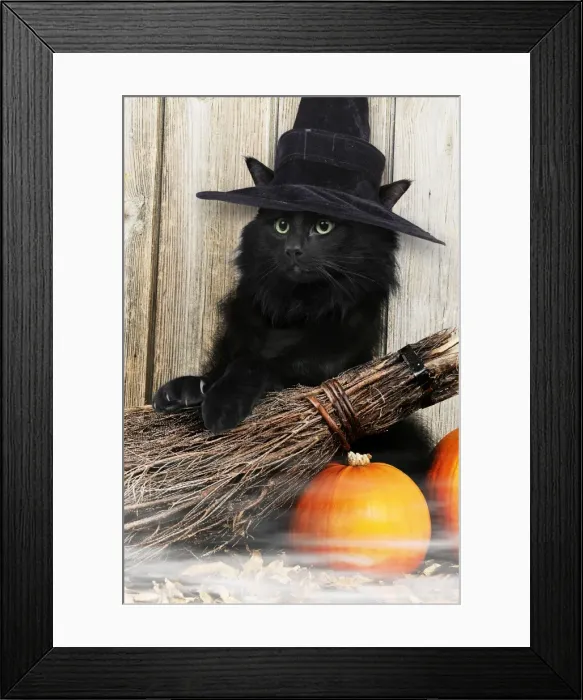 Framed Print : Picture No. 10900267 Framed Print : Picture No. 10900267