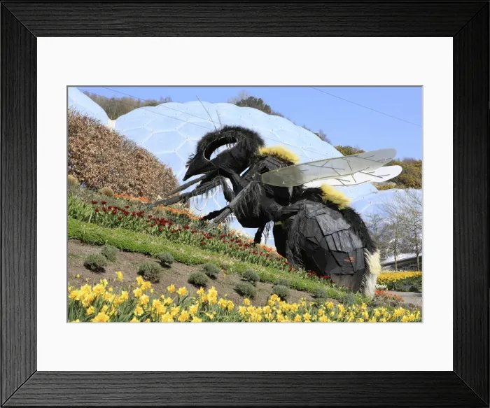 Framed Print : Picture No. 10900530 Framed Print : Picture No. 10900530