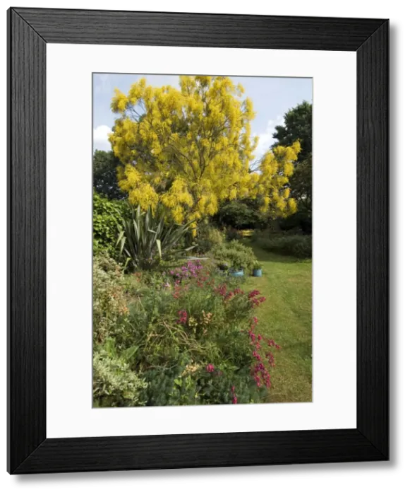 Framed Print : Picture No. 10900823 Framed Print : Picture No. 10900823