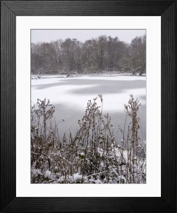 Framed Print : Picture No. 10900275 Framed Print : Picture No. 10900275