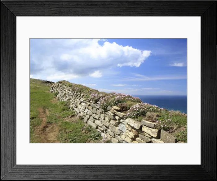 Framed Print : Picture No. 10900537 Framed Print : Picture No. 10900537