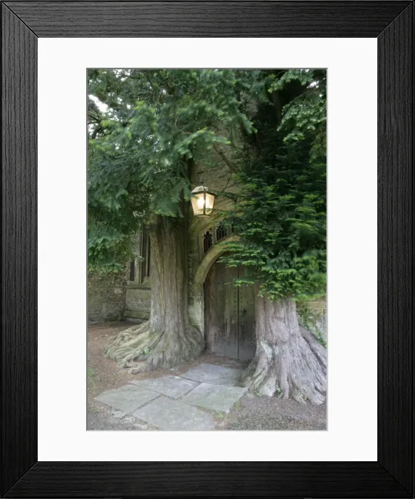 Framed Print : Picture No. 10900510 Framed Print : Picture No. 10900510