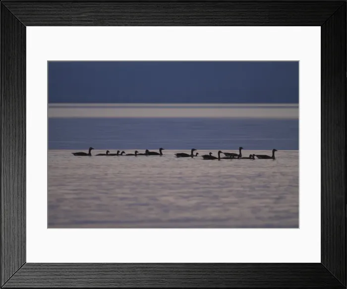 Framed Print : Picture No. 10900210 Framed Print : Picture No. 10900210