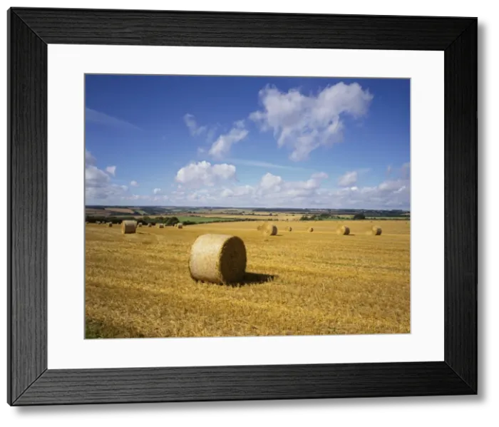 Framed Print : Picture No. 10900499 Framed Print : Picture No. 10900499
