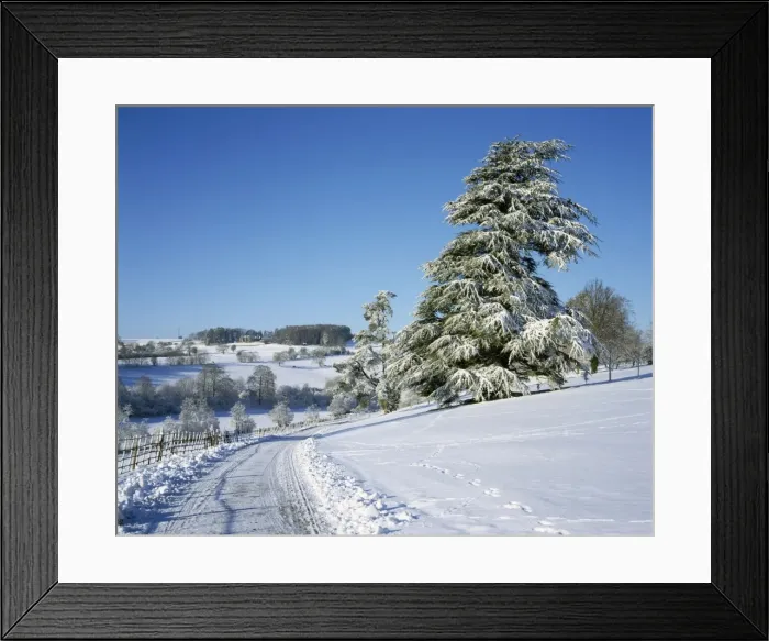 Framed Print : Picture No. 10900504 Framed Print : Picture No. 10900504