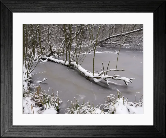 Framed Print : Picture No. 10900277 Framed Print : Picture No. 10900277