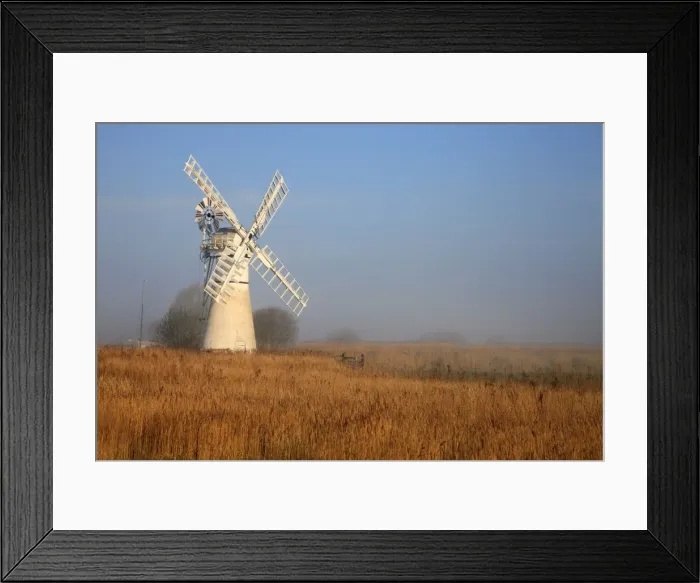 Framed Print : Picture No. 10900352 Framed Print : Picture No. 10900352
