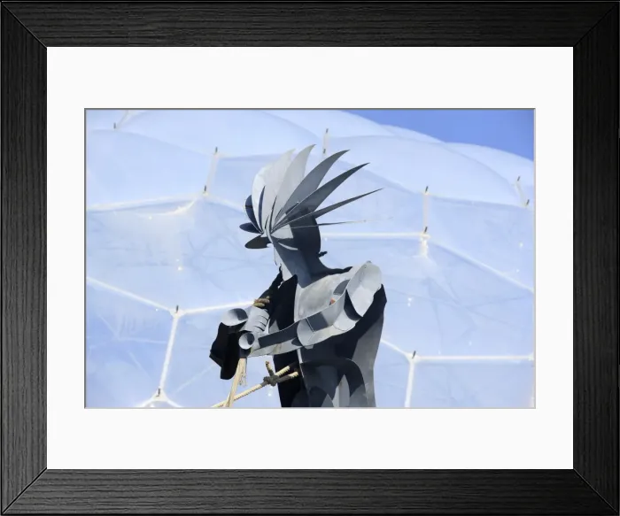 Framed Print : Picture No. 10900531 Framed Print : Picture No. 10900531