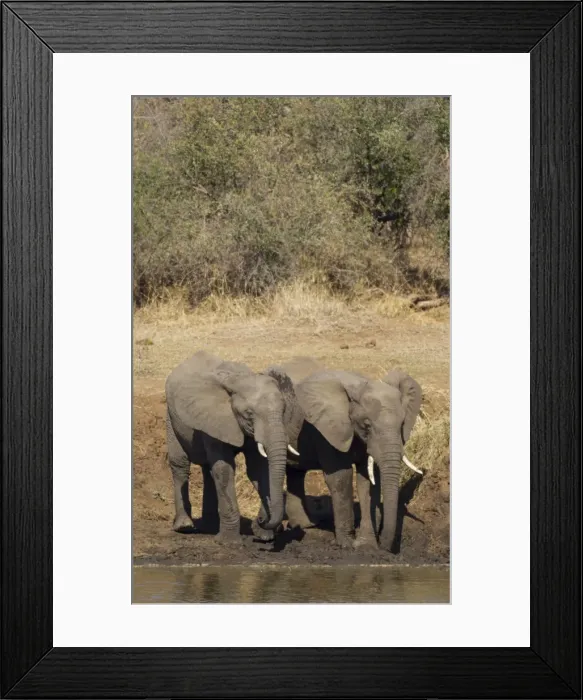 Framed Print : Picture No. 10900834 Framed Print : Picture No. 10900834