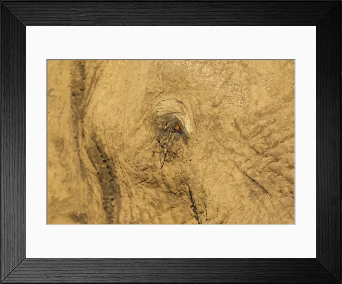 Framed Print : Picture No. 10900846 Framed Print : Picture No. 10900846