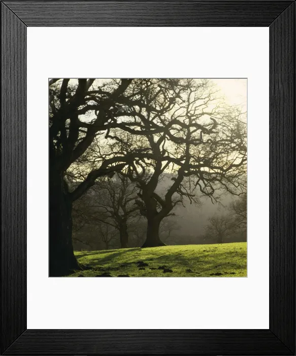 Framed Print : Picture No. 10900448 Framed Print : Picture No. 10900448