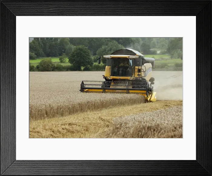 Framed Print : Picture No. 10900330 Framed Print : Picture No. 10900330
