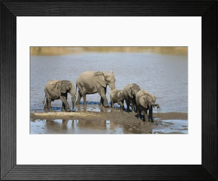 Framed Print : Picture No. 10900830 Framed Print : Picture No. 10900830