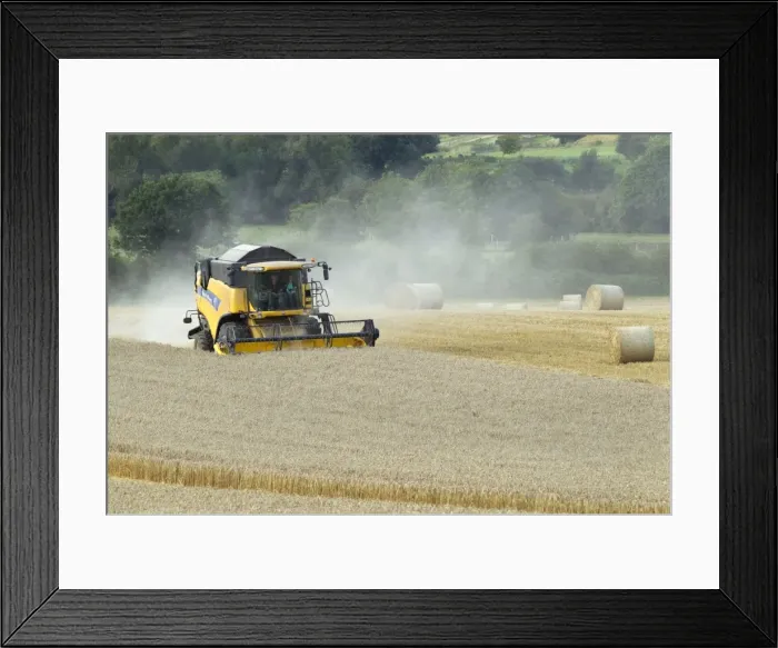 Framed Print : Picture No. 10900331 Framed Print : Picture No. 10900331