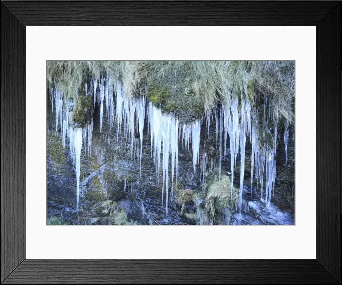 Framed Print : Picture No. 10900493 Framed Print : Picture No. 10900493
