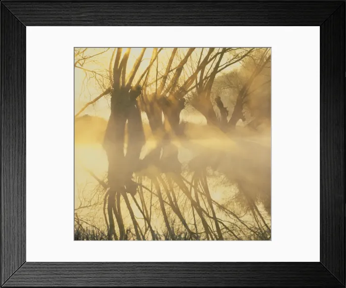 Framed Print : Picture No. 10900455