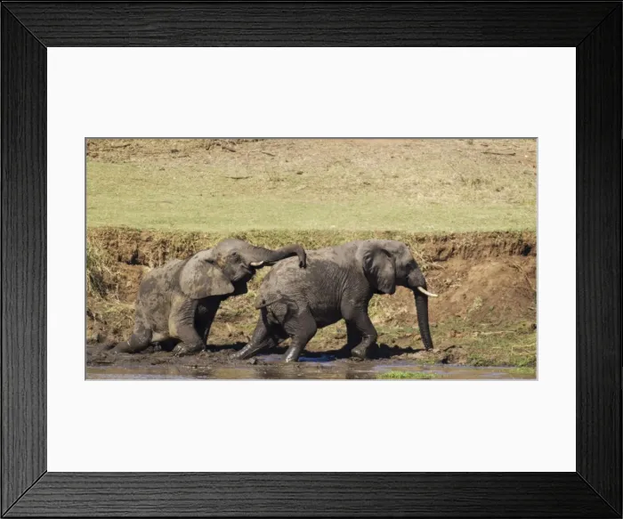 Framed Print : Picture No. 10900833 Framed Print : Picture No. 10900833