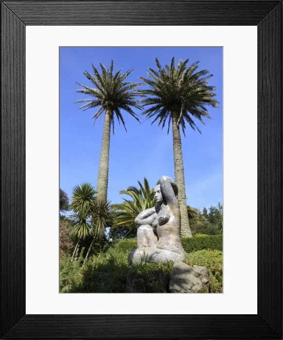 Framed Print : Picture No. 10900526 Framed Print : Picture No. 10900526