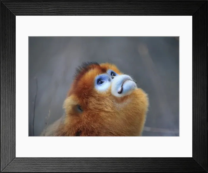 Framed Print : Picture No. 10909588 Framed Print : Picture No. 10909588