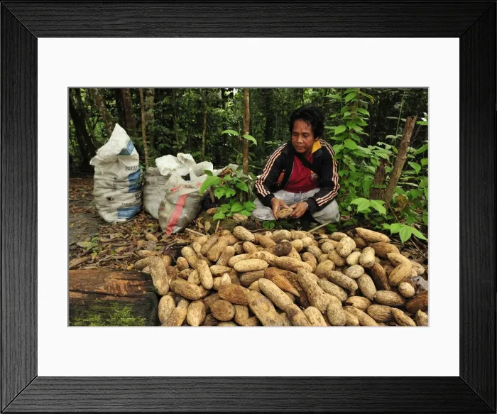 Framed Print : Picture No. 10909309 Framed Print : Picture No. 10909309